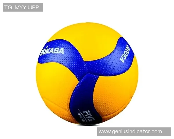 杭州排球队的耐力挑战与训练探索聚焦排球运动的未来发展 杭州排球队的耐力挑战与训练探索聚焦排球运动的未来发展