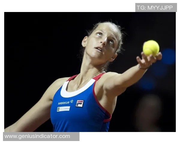 杭州网球队在联合会杯中的拼搏历程与荣耀时刻全景回顾