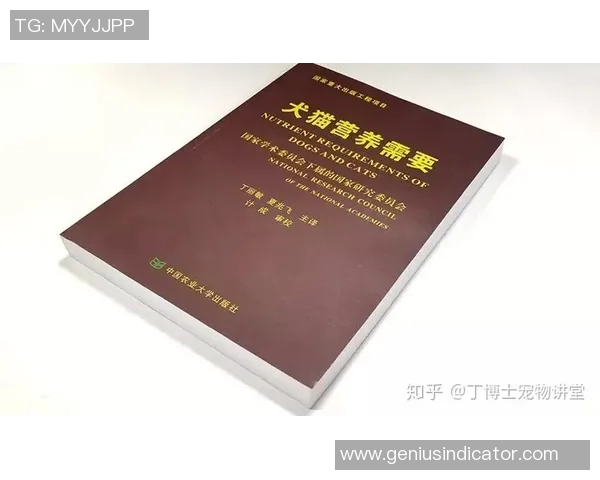 武汉排球队耐力提升之路:技术与心理的双重挑战探讨 武汉排球队耐力提升之路:技术与心理的双重挑战探讨