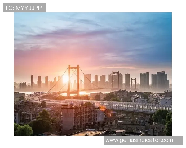 武汉羽毛球队奋勇拼搏的历程与荣耀时刻全景回顾