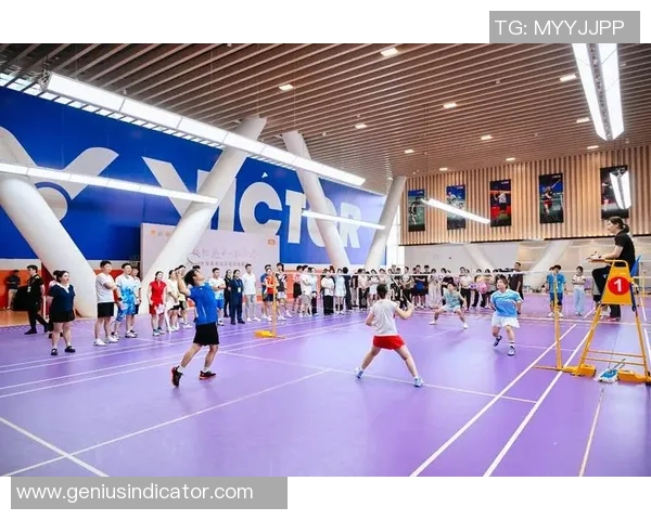 羽毛球深度：解密杭州羽毛球队的节奏