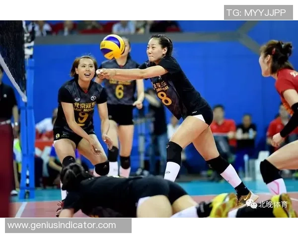 排球焦点：北京排球队的个人能力探讨