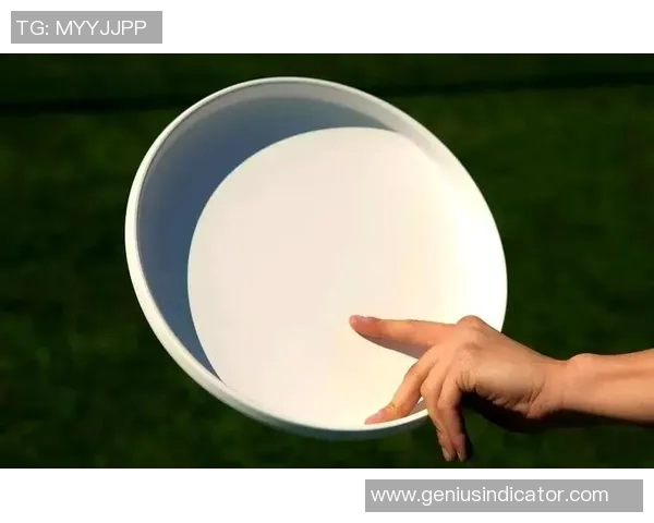 飞盘新手攻略：实力入门指南_1