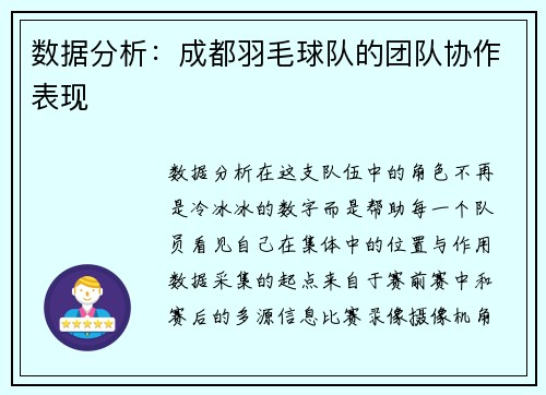 数据分析：成都羽毛球队的团队协作表现
